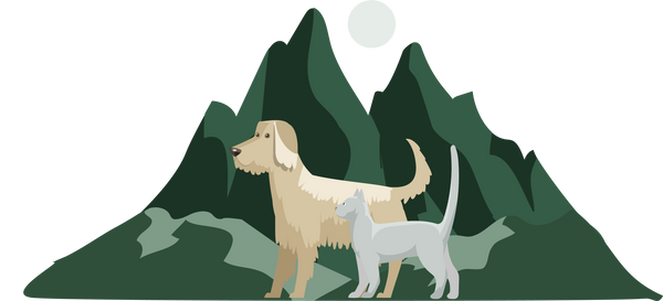 Tays Tails and Trails